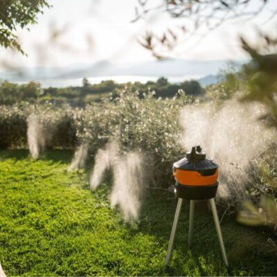 Repellenti per zanzare: come difendere il giardino