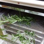 Come essiccare le erbe aromatiche