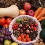 Raccolto di ottobre: frutta e verdura di stagione