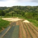 Orto biodinamico: cos’è l’agricoltura biodinamica