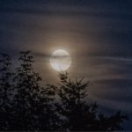 La luna in agricoltura: influsso e coltivazione