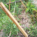 Costruire tutori permanenti per le piante dell’orto sinergico