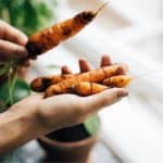 coltivare carote in vaso