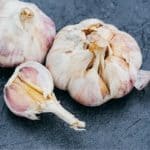 Malattie che colpiscono l'aglio