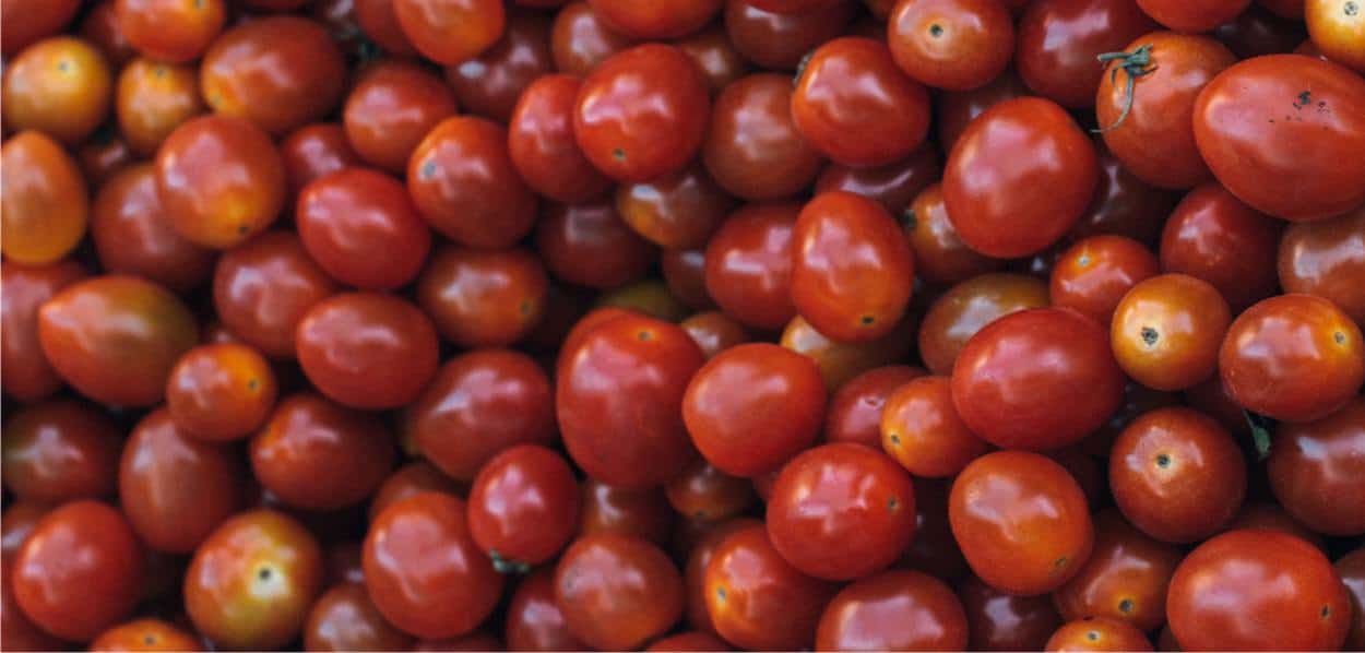 pomodori rossi