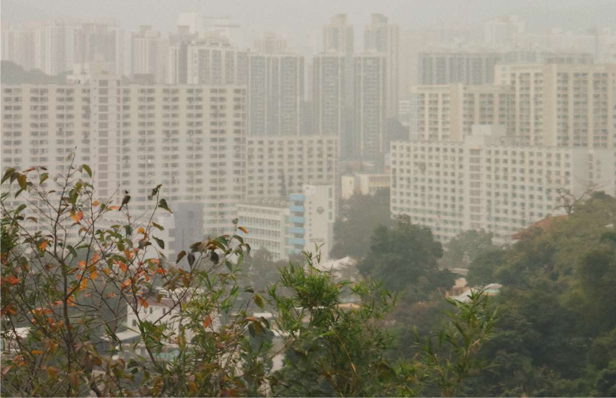inquinamento e verde urbano