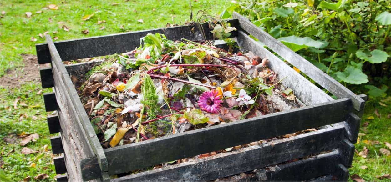 compostaggio per il principio di non fare rifiuto
