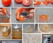 conservare i semi del pomodoro