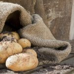 patate coltivate in sacco