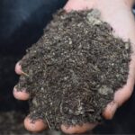 Bokashi: autoprodurre un semplice compost fermentato