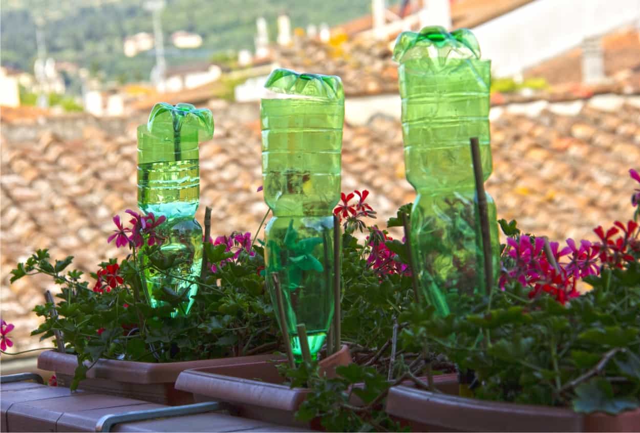 bottiglie per irrigazione durante le vacanze