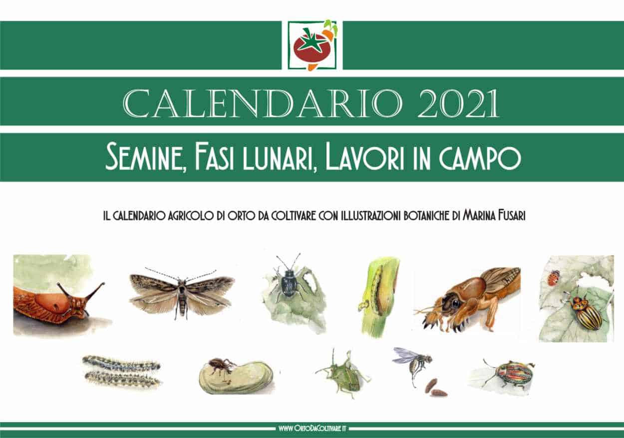 calendario orto 2021