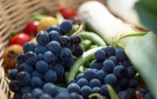 frutta e ortaggi con vitamine